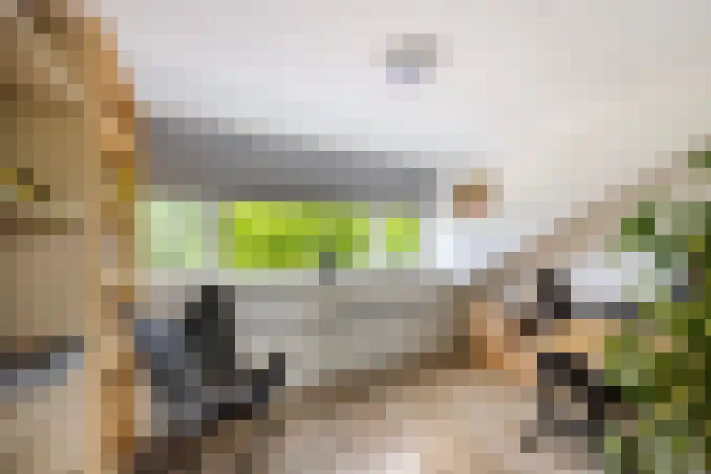 Waelneslaan 11 Hendrik-Ido-Ambacht thumbnail 22
