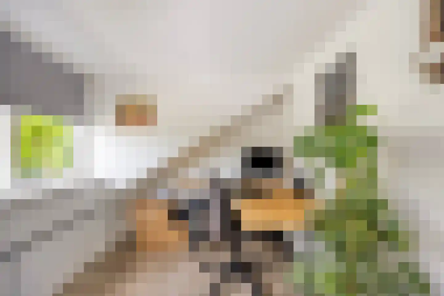 Waelneslaan 11 Hendrik-Ido-Ambacht thumbnail 23