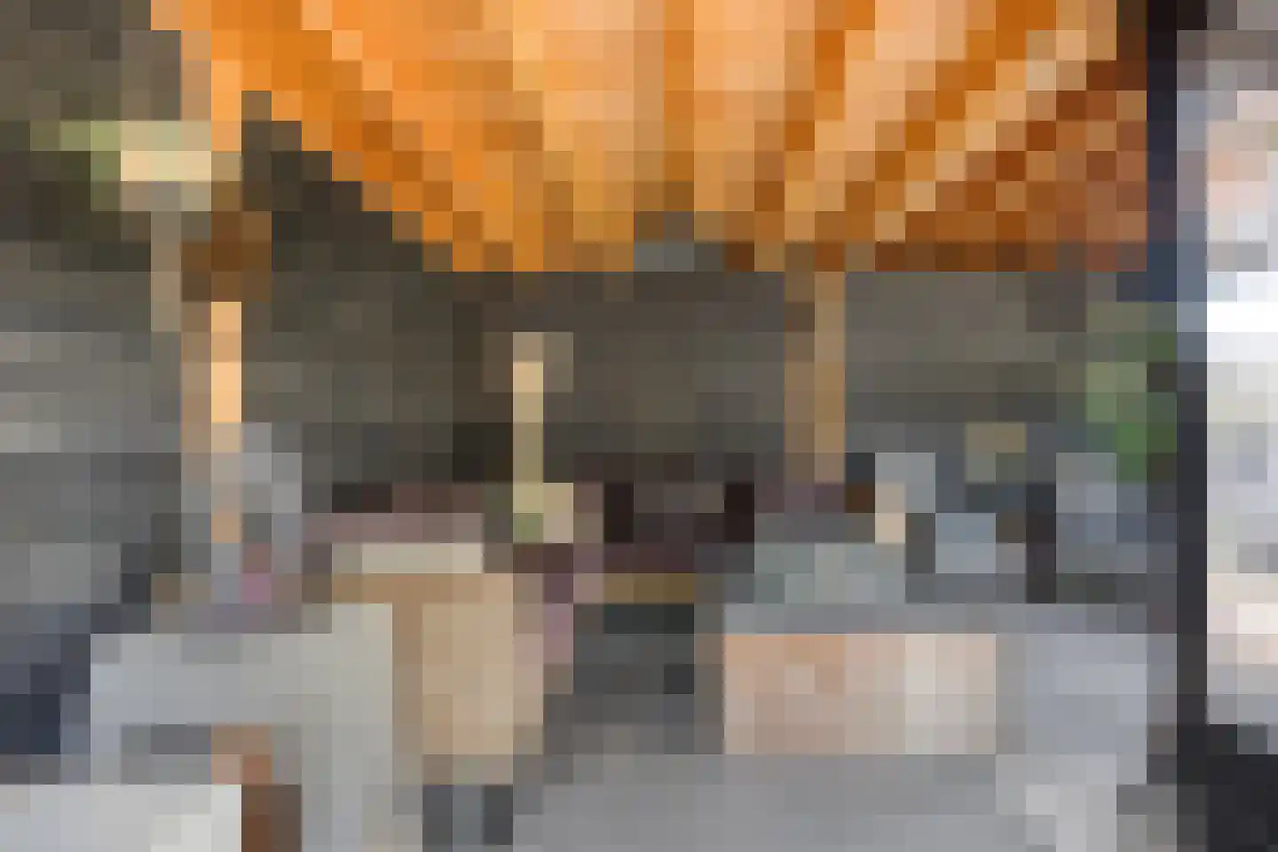 Waelneslaan 11 Hendrik-Ido-Ambacht thumbnail 26