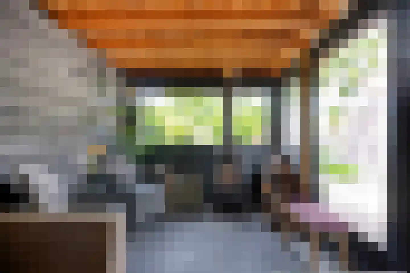 Waelneslaan 11 Hendrik-Ido-Ambacht thumbnail 27
