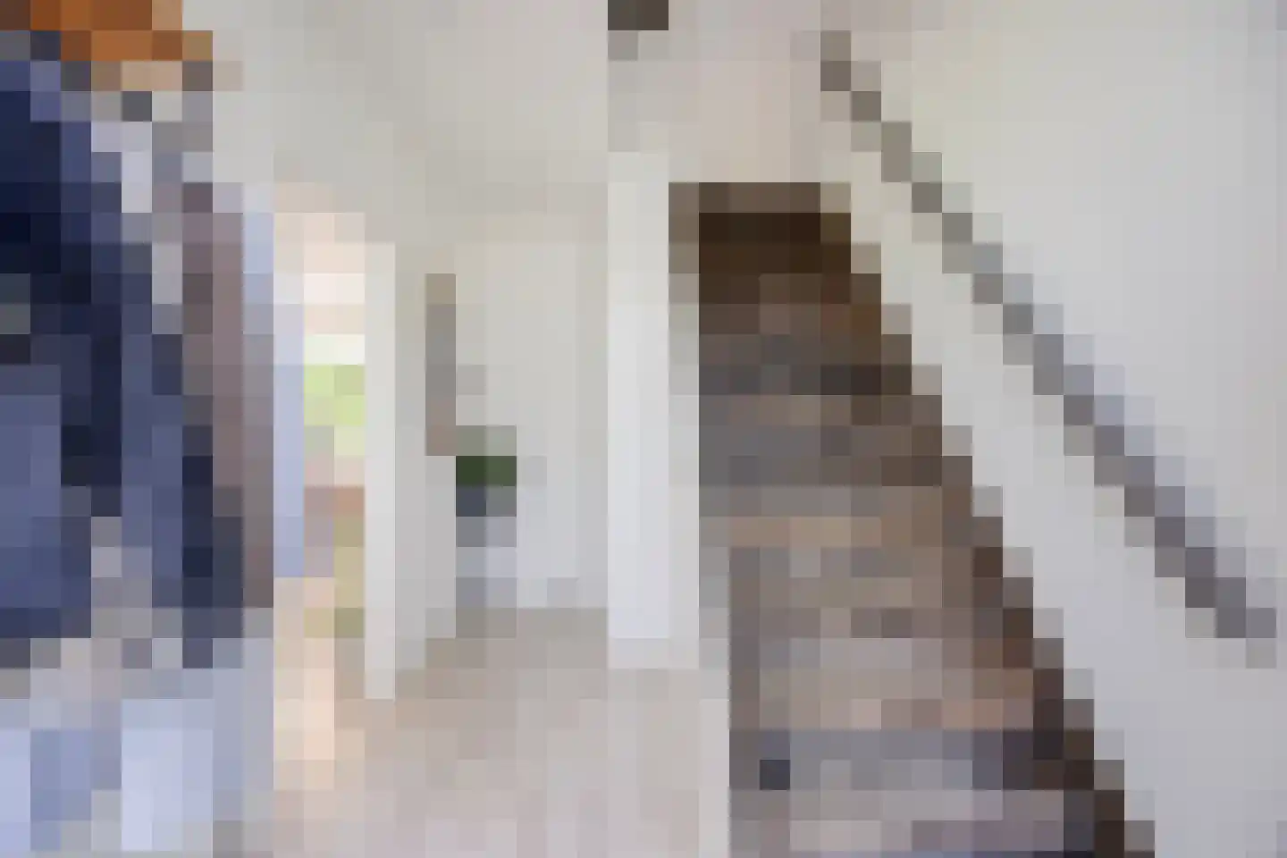 Waelneslaan 11 Hendrik-Ido-Ambacht thumbnail 7