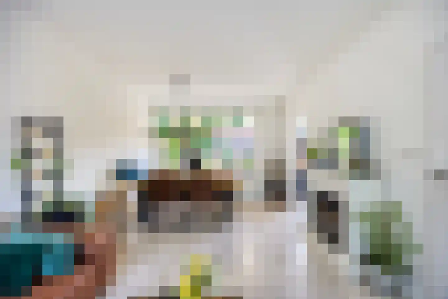 Waelneslaan 11 Hendrik-Ido-Ambacht thumbnail 8