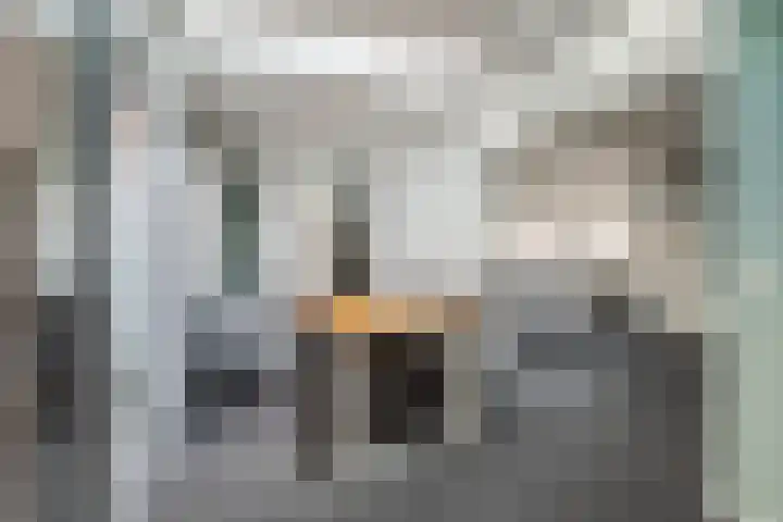 Waemelslant 145 Westervoort thumbnail 22