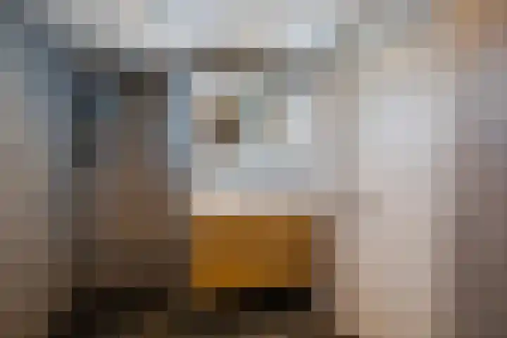 Waemelslant 145 Westervoort thumbnail 34