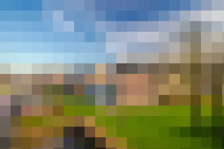 Waemelslant 145 Westervoort thumbnail 5