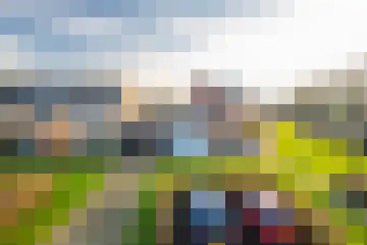 Waemelslant 145 Westervoort thumbnail 8