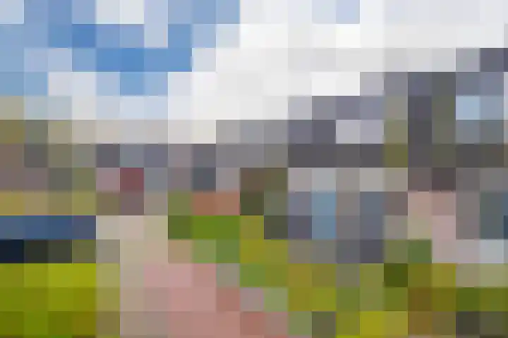 Waemelslant 175 Westervoort thumbnail 10