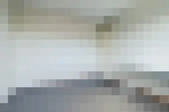 Waemelslant 75 Westervoort thumbnail 21