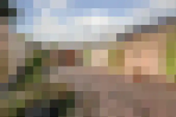 Waemelslant 75 Westervoort thumbnail 38