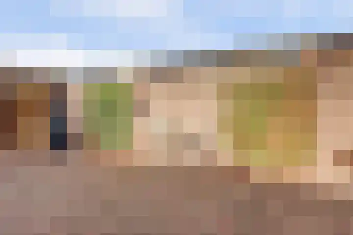 Waemelslant 75 Westervoort thumbnail 39