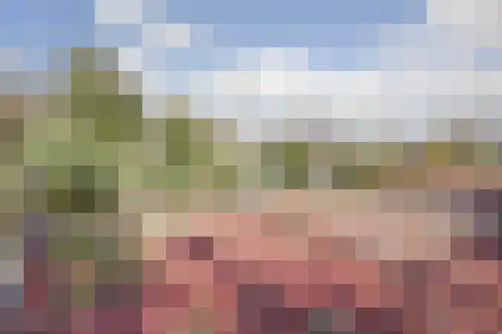Waemelslant 75 Westervoort thumbnail 46