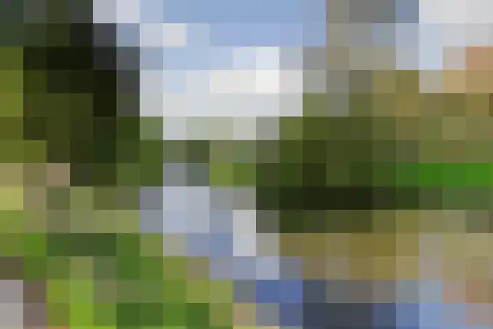 Waemelslant 75 Westervoort thumbnail 48