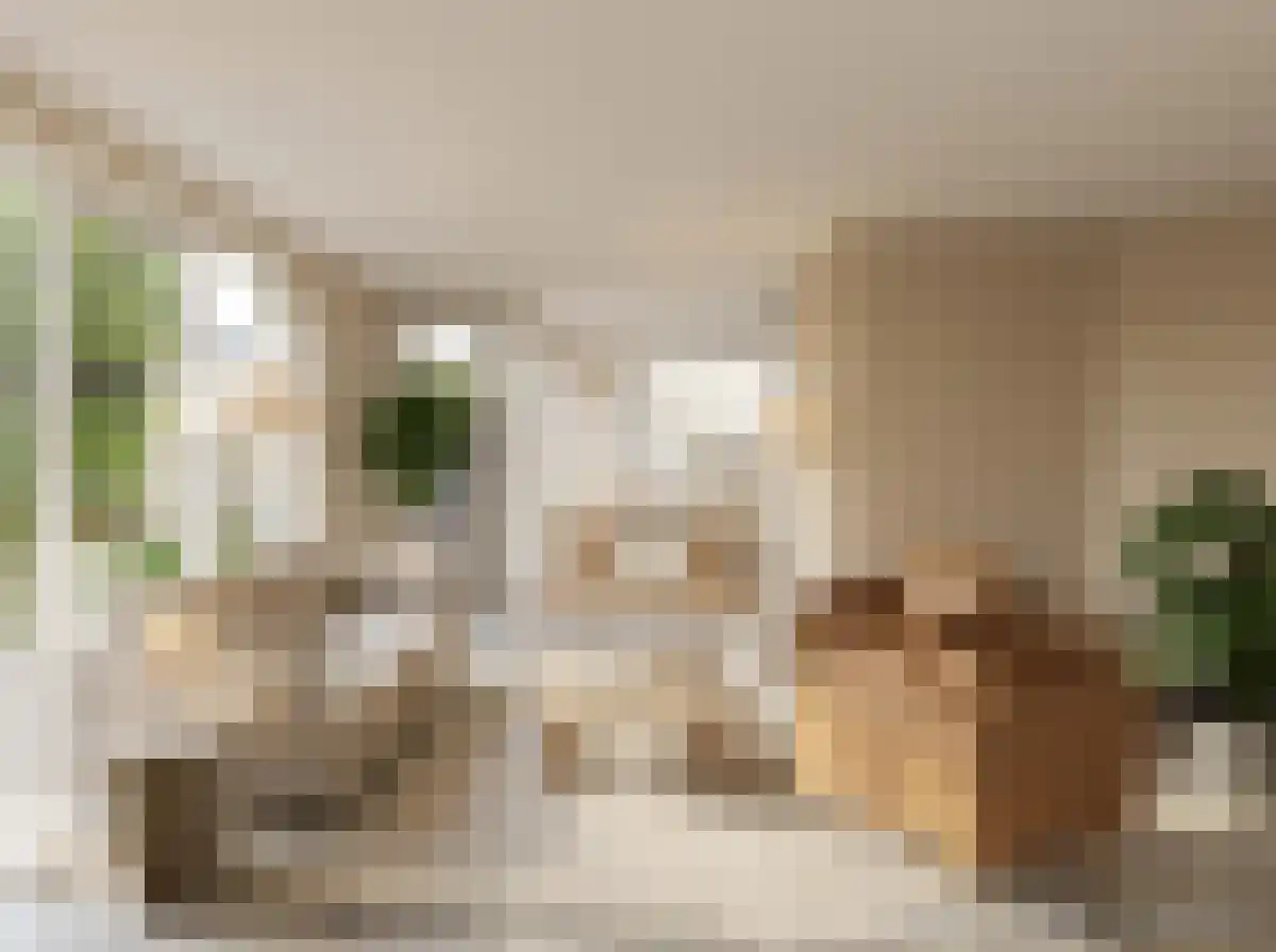 Waeterrijck 11 Vinkeveen thumbnail 19