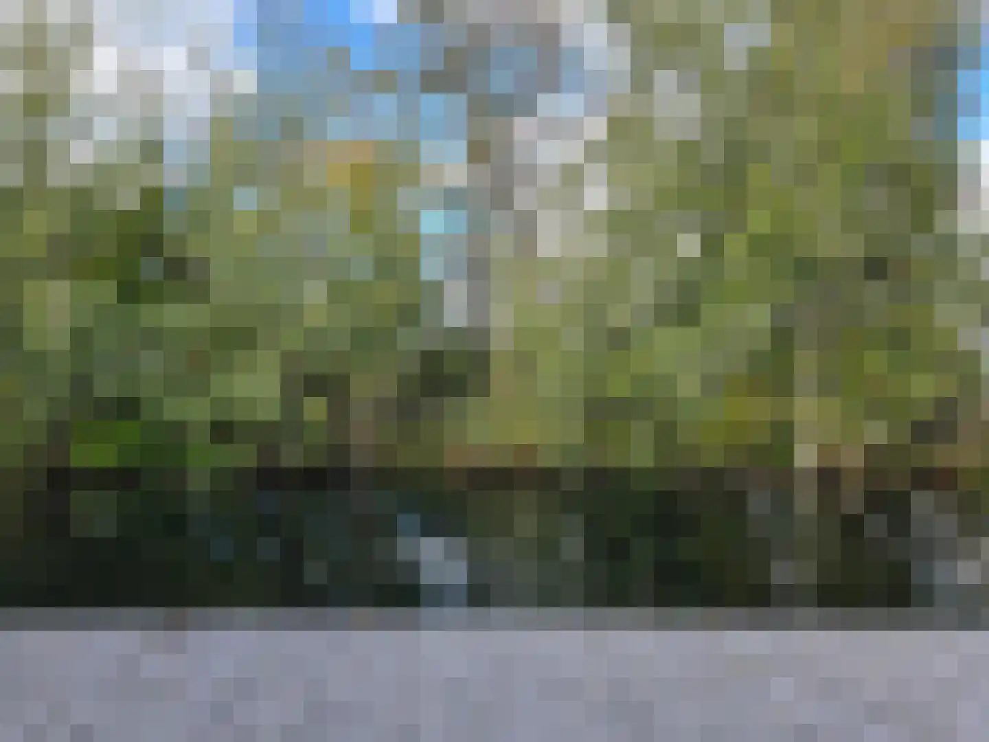 Waeterrijck 11 Vinkeveen thumbnail 31