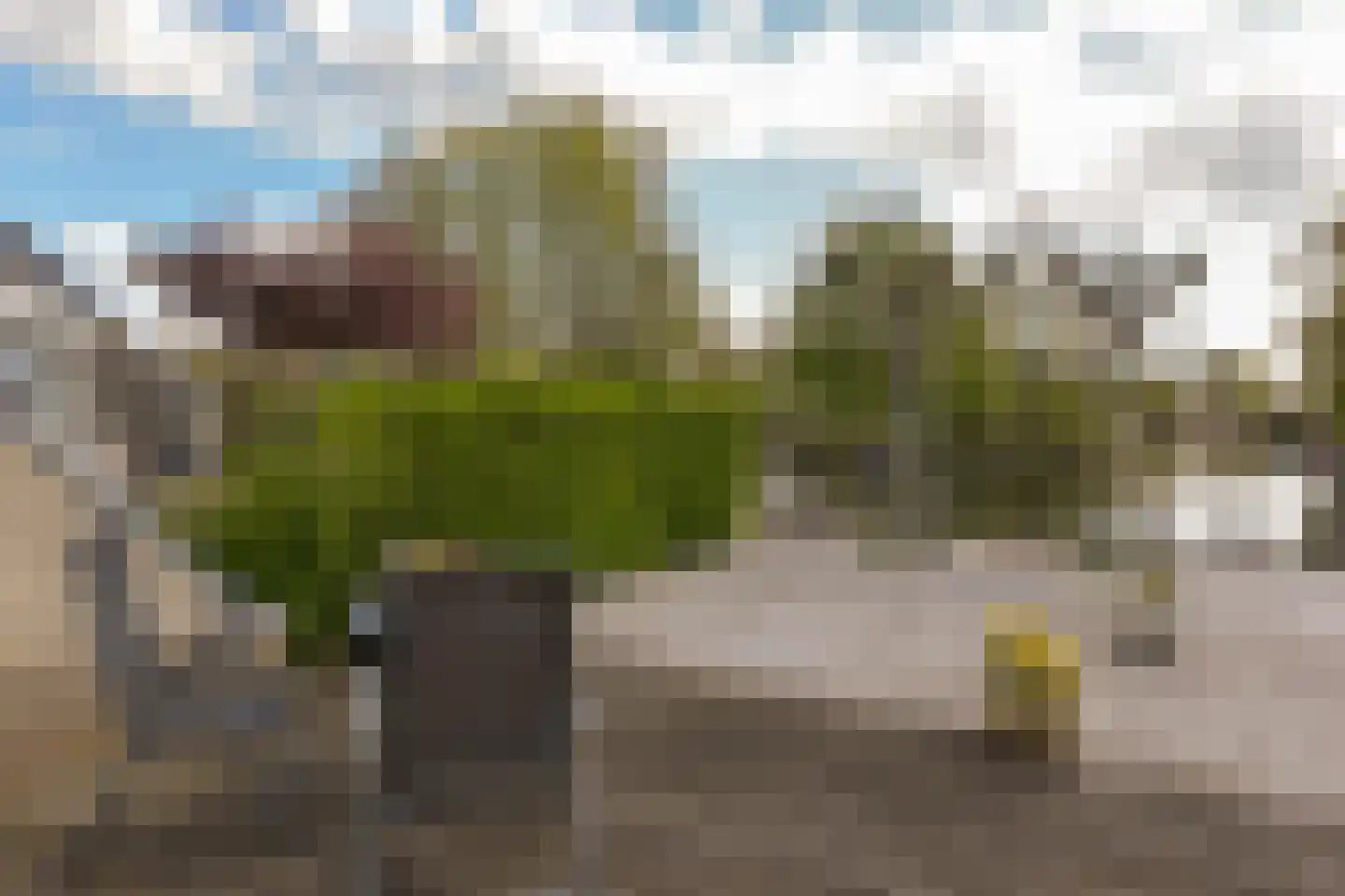 Waeterrijck 20 Vinkeveen thumbnail 41
