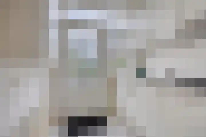 Waezenburglaan 11 Leek thumbnail 14