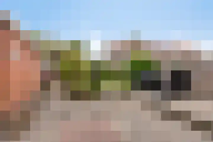 Waezenburglaan 11 Leek thumbnail 25