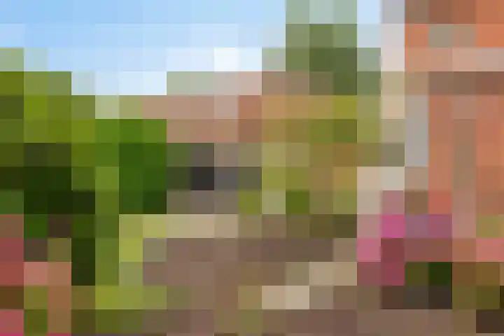 Waezenburglaan 11 Leek foto 3