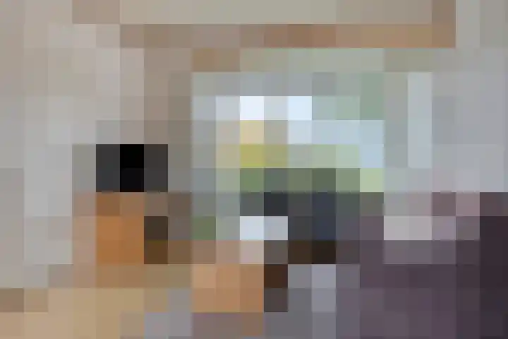 Waezenburglaan 11 Leek thumbnail 8
