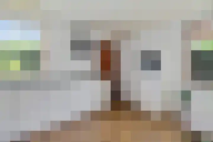 Waezenburglaan 88 Leek thumbnail 13