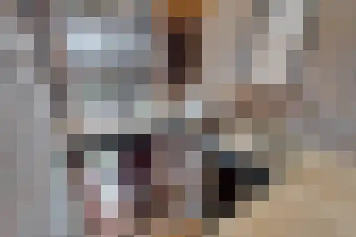 Waezenburglaan 88 Leek thumbnail 14