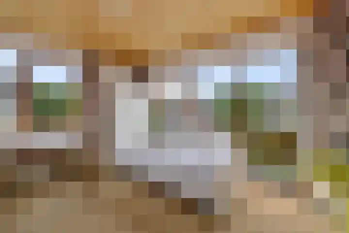 Waezenburglaan 88 Leek thumbnail 16