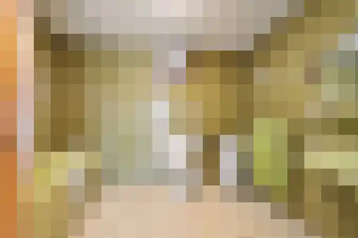 Waezenburglaan 88 Leek thumbnail 19