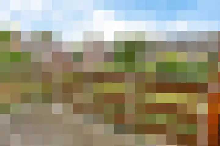 Waezenburglaan 88 Leek thumbnail 24
