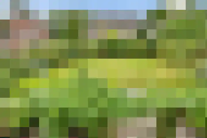 Waezenburglaan 88 Leek thumbnail 25