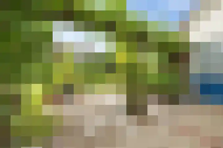 Waezenburglaan 88 Leek thumbnail 26