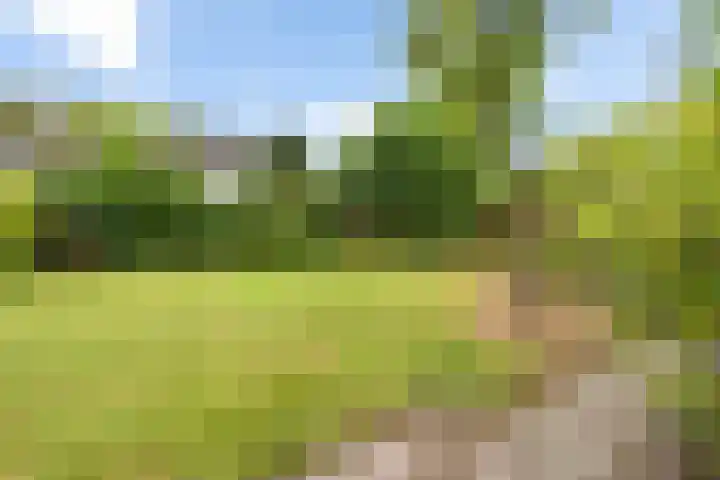 Waezenburglaan 88 Leek thumbnail 29