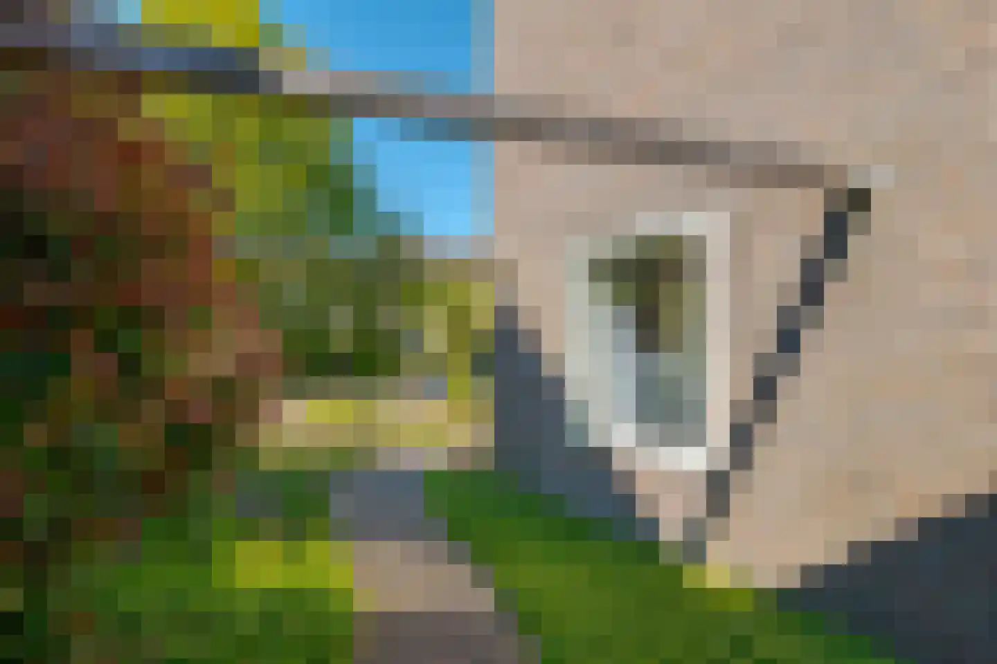 Waezenburglaan 94 Leek thumbnail 32