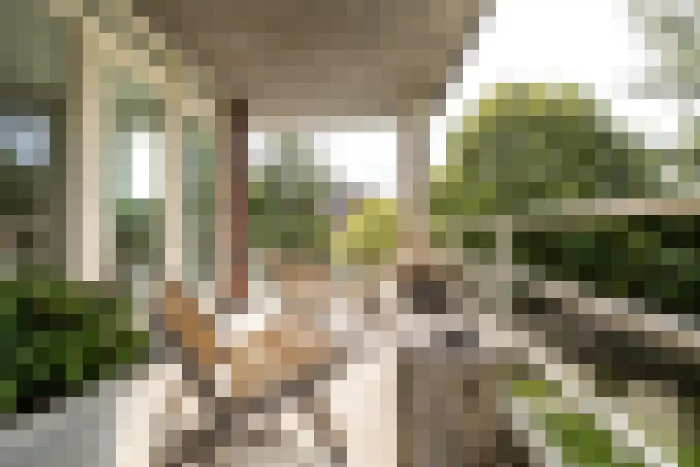 Wagemakerspark 18 Breda thumbnail 26
