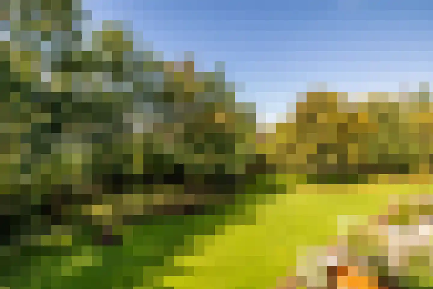 Wagemakerspark 18 Breda thumbnail 28