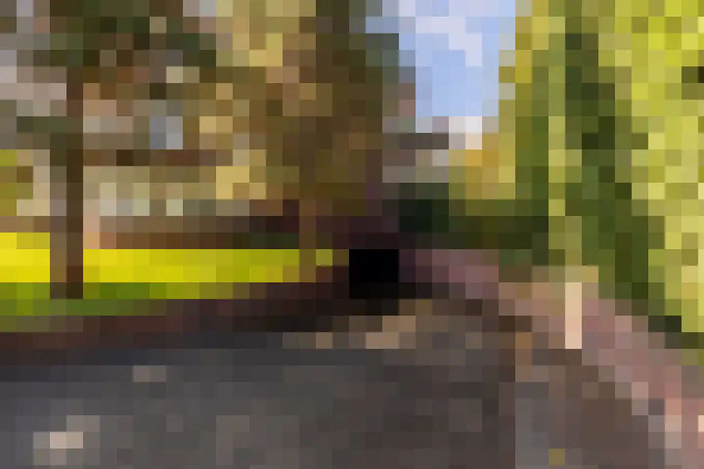 Wagemakerspark 18 Breda thumbnail 38