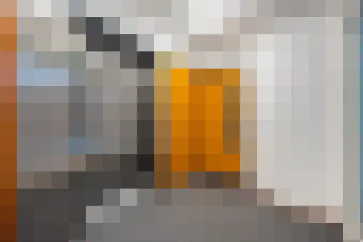 Wagemakerspark 35 Breda thumbnail 10
