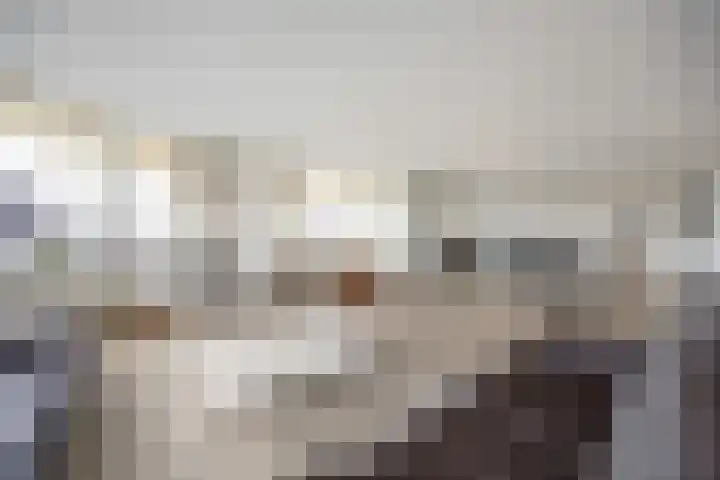 Wagemakerspark 35 Breda thumbnail 21