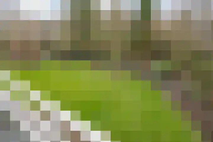 Wagemakerspark 35 Breda thumbnail 40