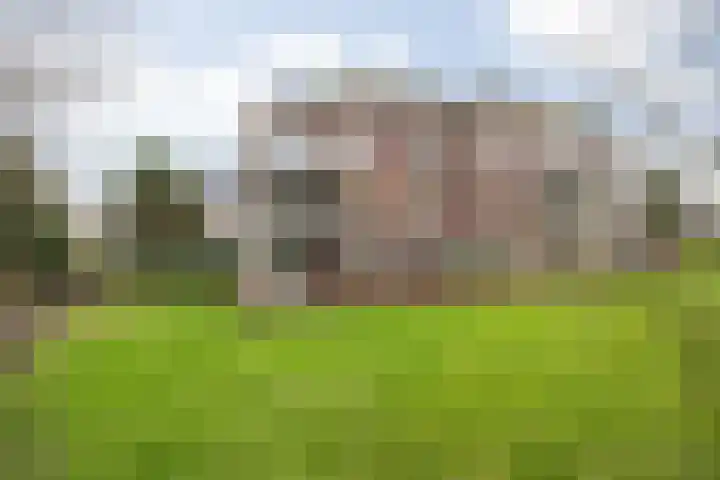 Wagemakerspark 35 Breda thumbnail 56