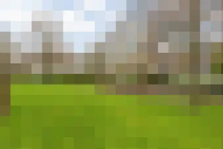 Wagemakerspark 35 Breda thumbnail 57