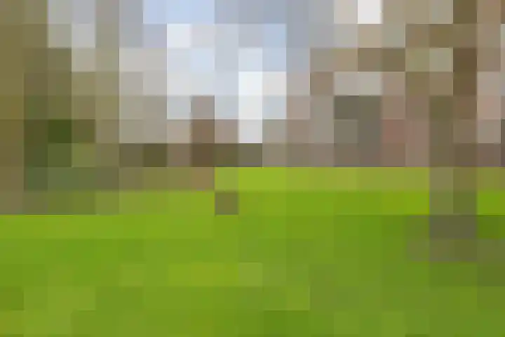 Wagemakerspark 35 Breda thumbnail 58