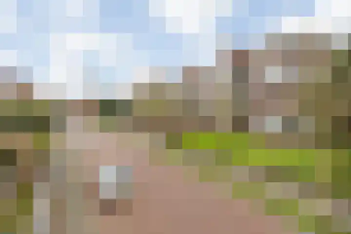 Wagemakerspark 35 Breda thumbnail 6