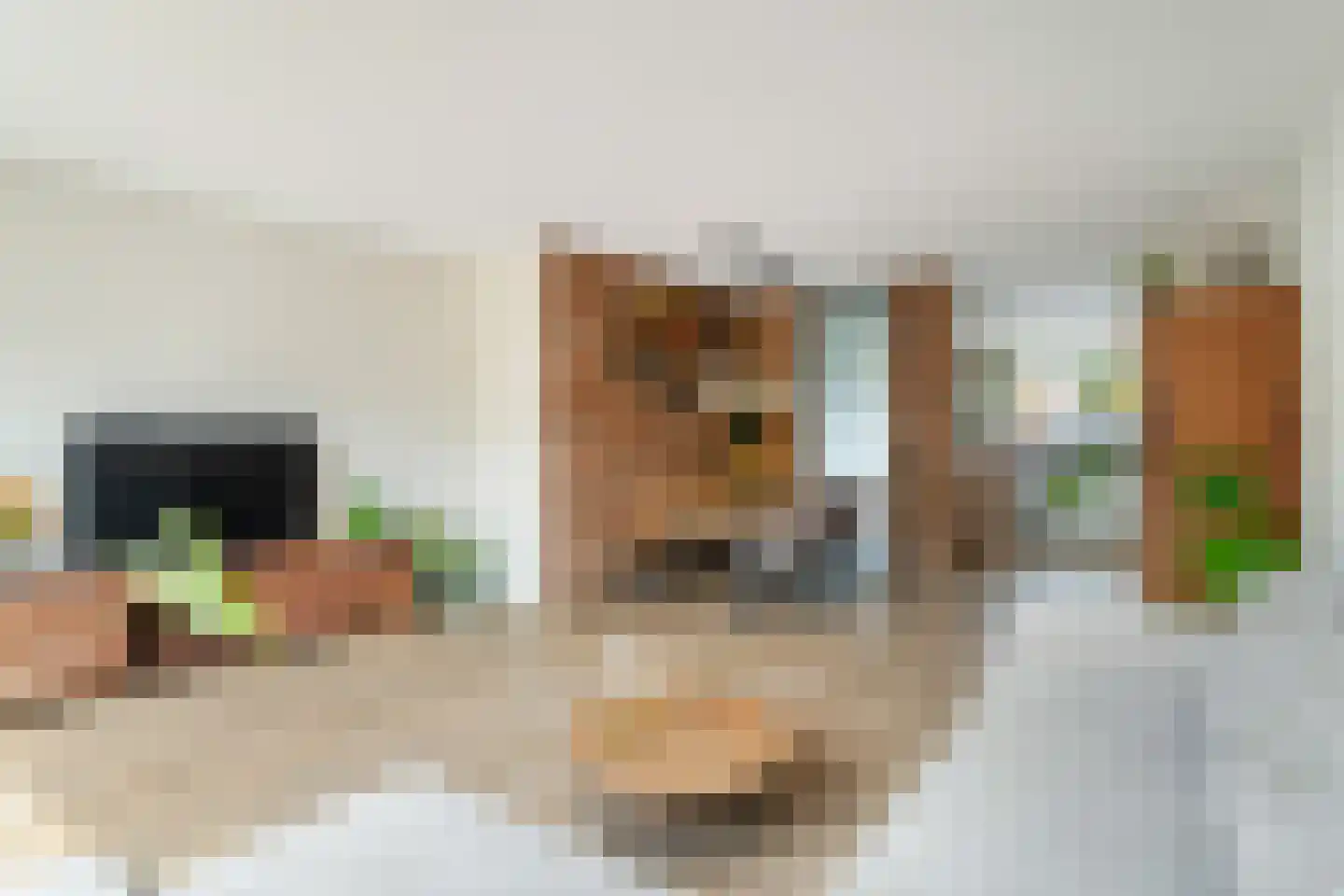 Wagenaarhof 13 's-Gravenzande thumbnail 11
