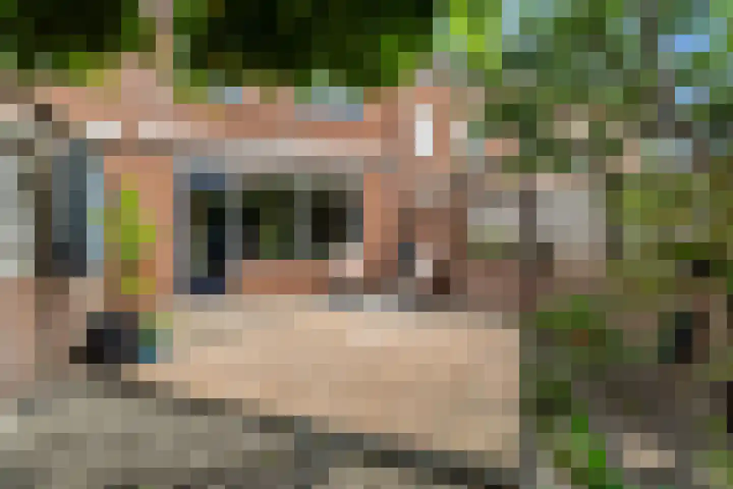 Wagenaarhof 13 's-Gravenzande thumbnail 15
