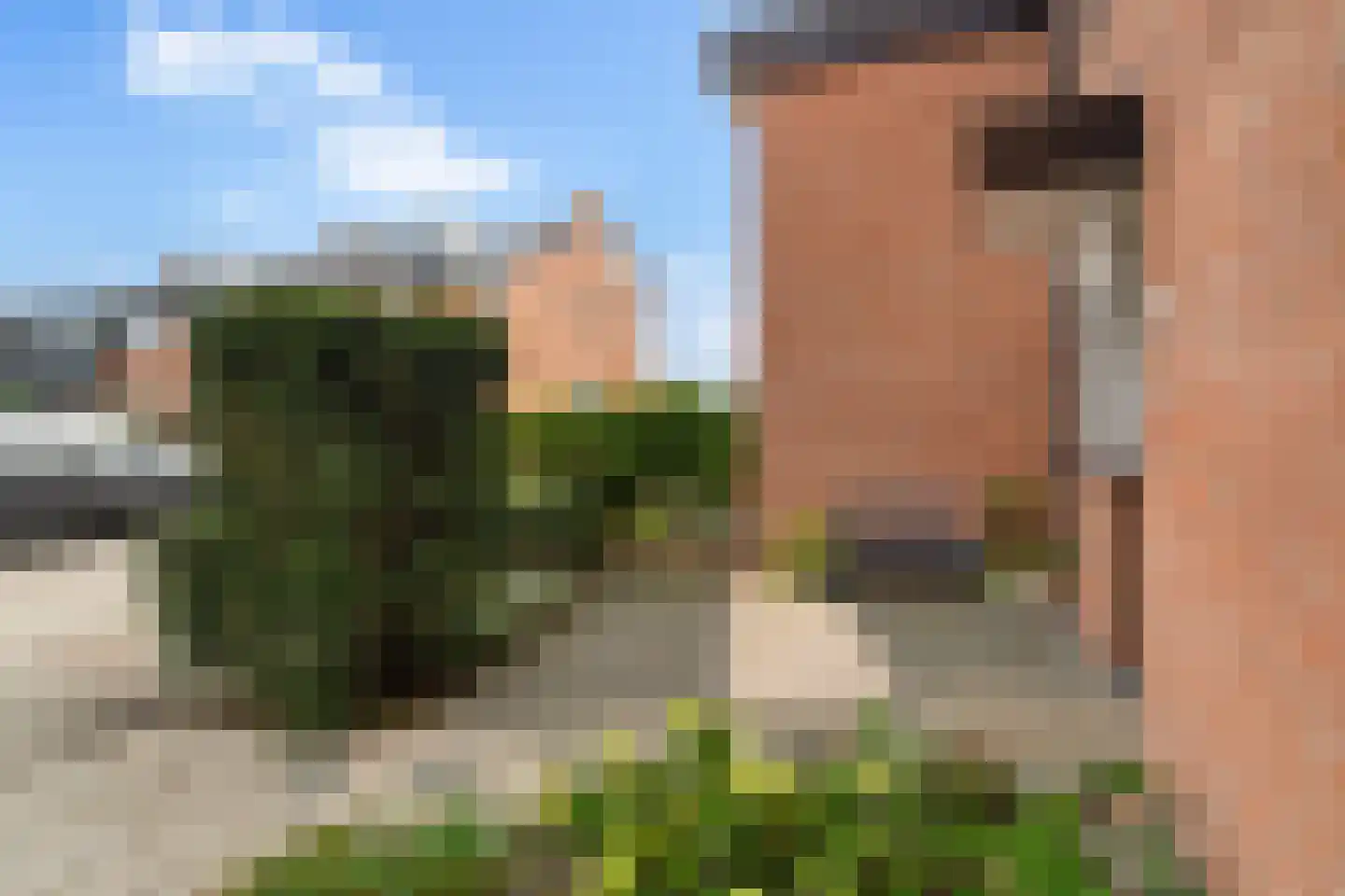 Wagenaarhof 13 's-Gravenzande thumbnail 40