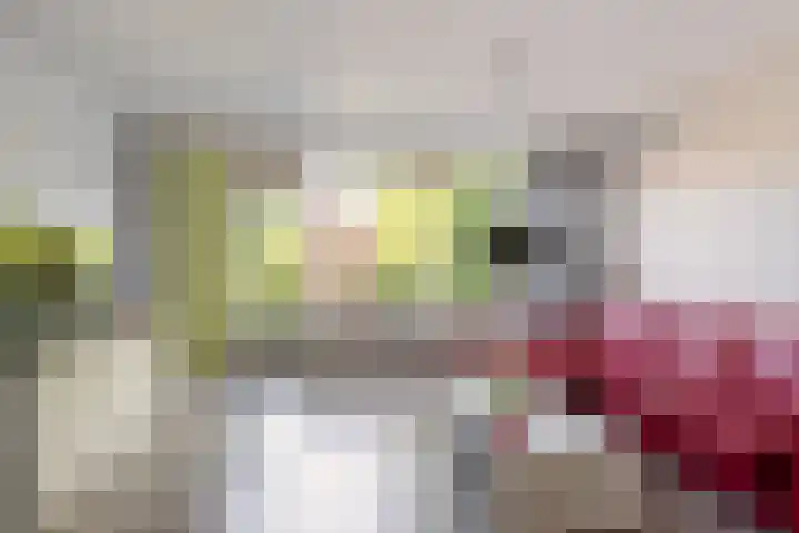 Wagenaarhof 31 's-Gravenzande thumbnail 11