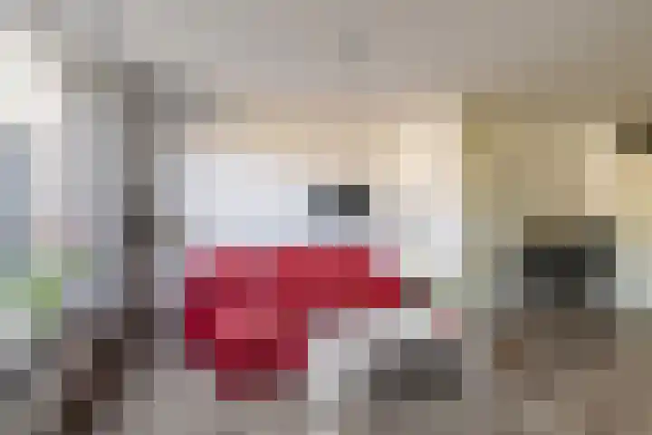 Wagenaarhof 31 's-Gravenzande thumbnail 12