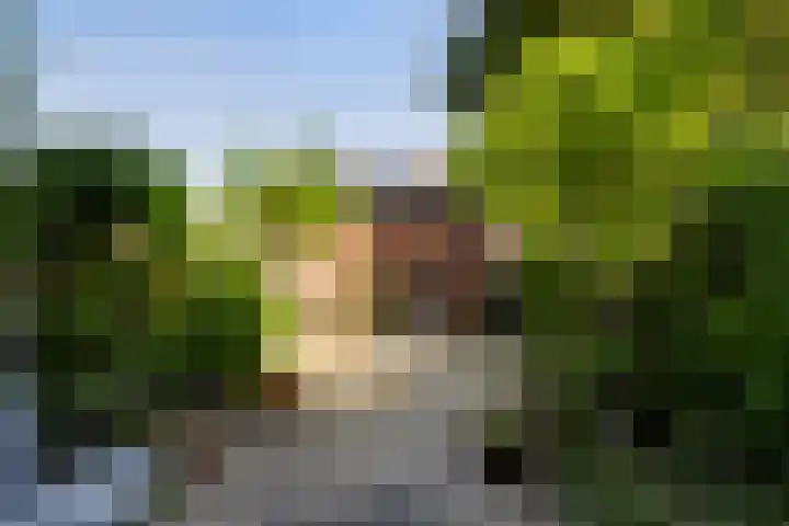 Wagenaarhof 31 's-Gravenzande thumbnail 27