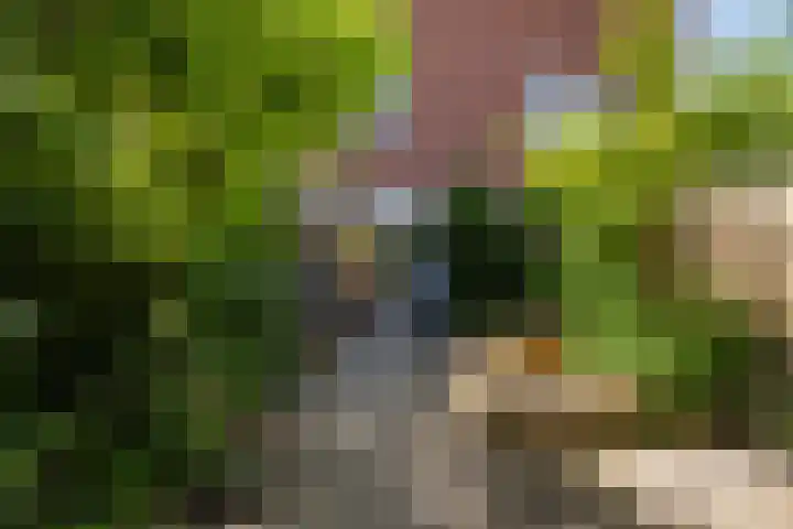 Wagenaarhof 31 's-Gravenzande thumbnail 6