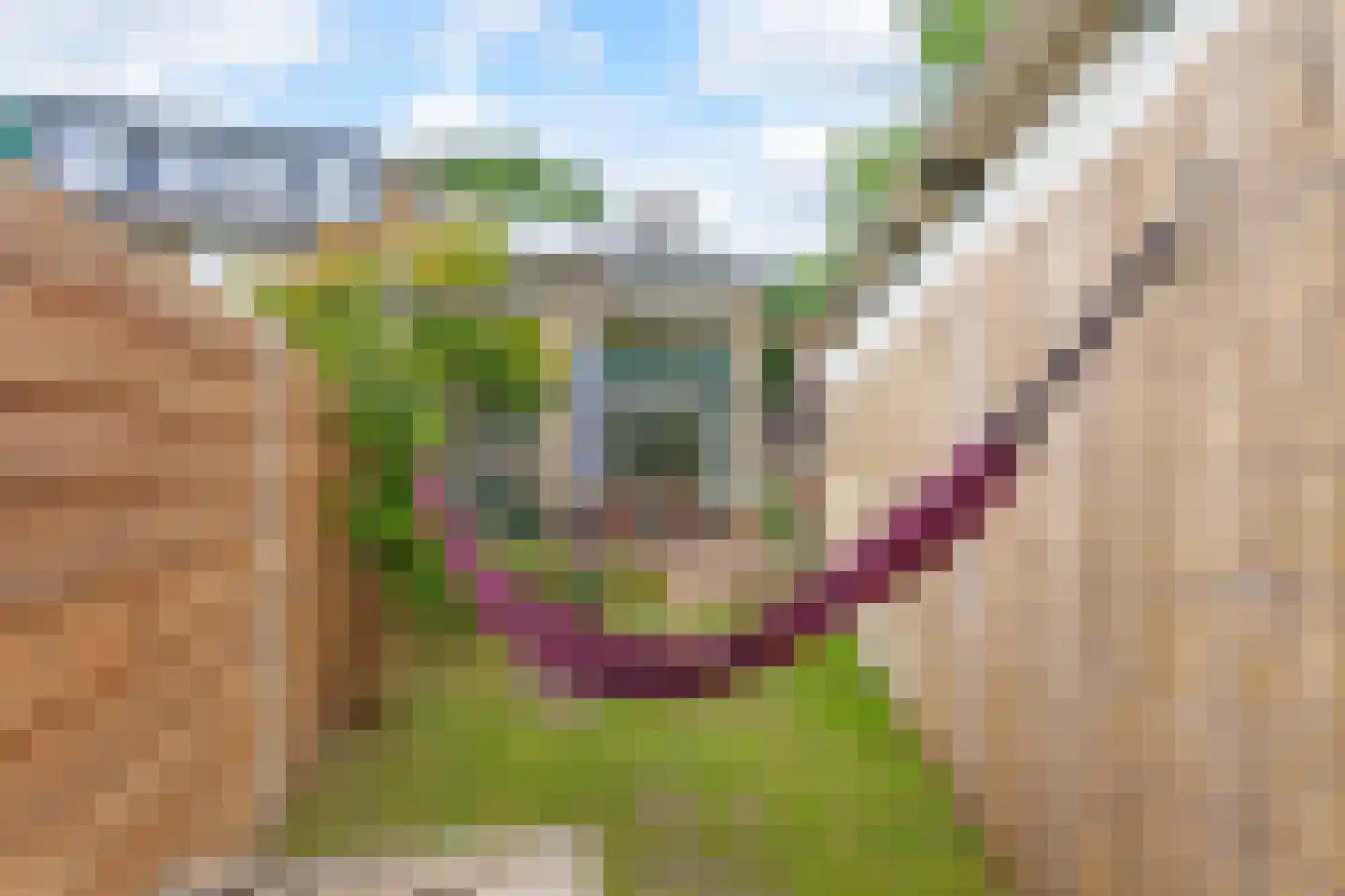Wagenaarlaan 3 Baarn thumbnail 5